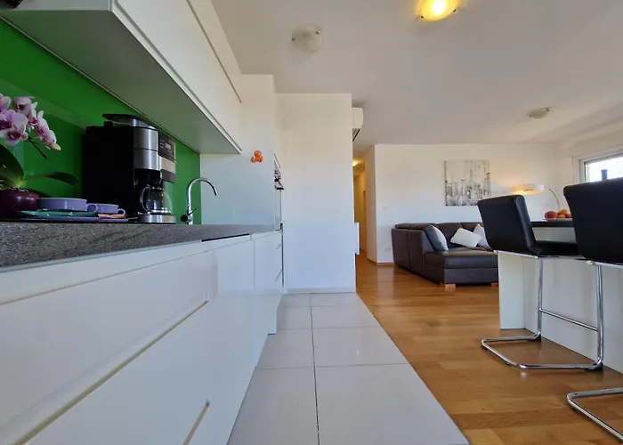 公寓 Luxury Penthouse 